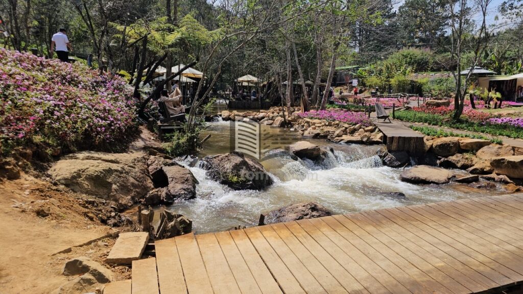 Thưởng thức bữa trưa cạnh Suối Bình Yên