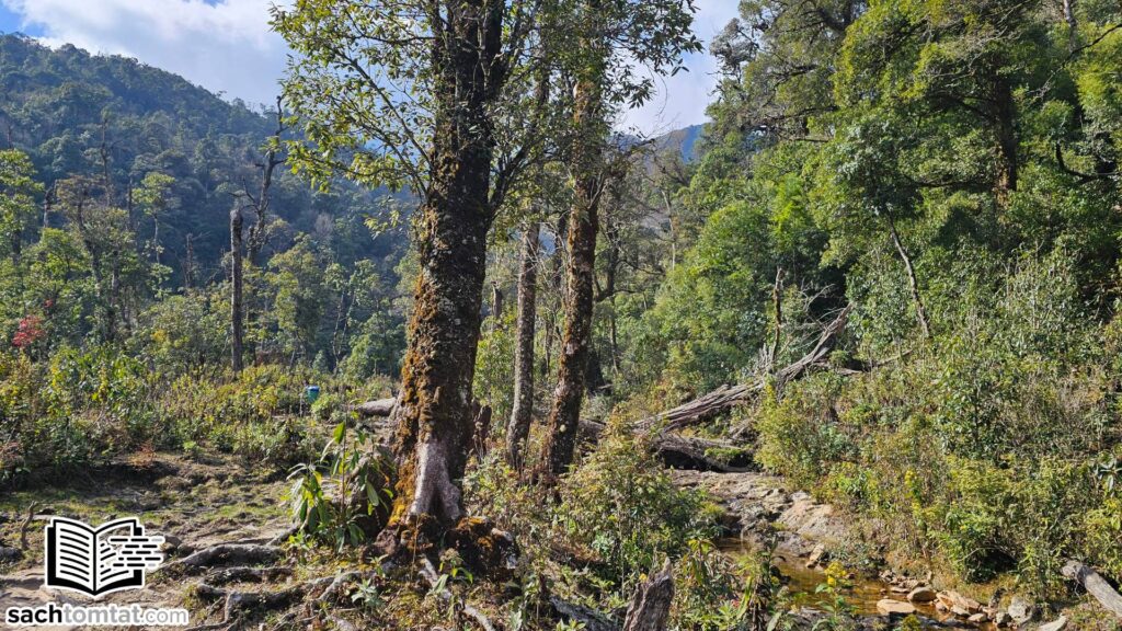 Cung đường Trạm Tôn là cung đường dễ đi nhất với độ dốc vừa phải