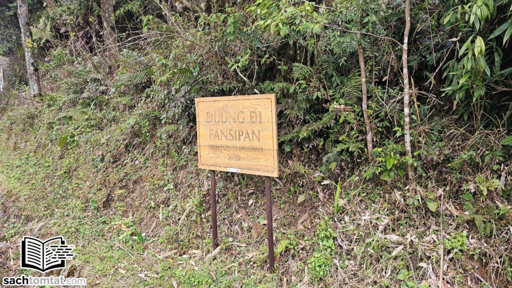 Lối đi lên đỉnh Fansipan - cung đường Trạm Tôn