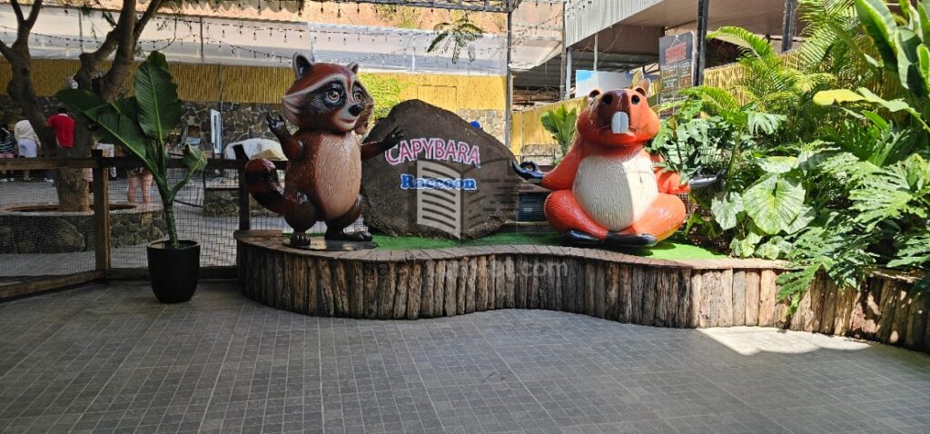 Một góc khu Puppy Farm