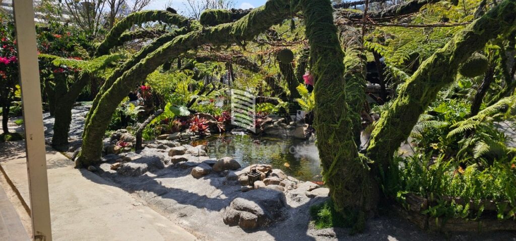 Một góc của nông trại Puppy Farm