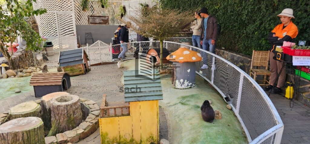 Puppy Farm còn nhiều động vật khác như Thỏ và chuột lang