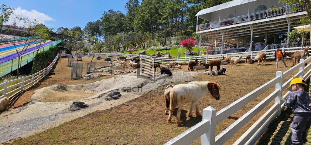 Khu nuôi nhốt ngựa lùn + lừa...