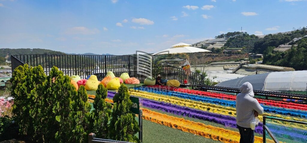 Trượt cỏ tại Puppy Farm