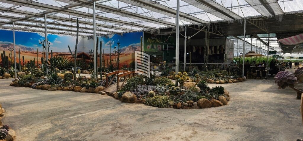 Một góc không gian Farm 2 của Puppy