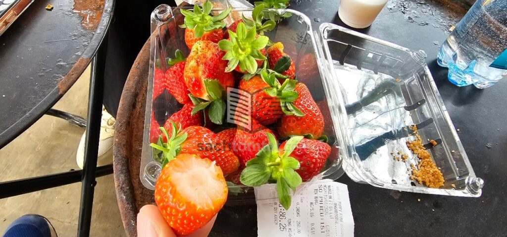 Mua dâu bạn sẽ được tặng 1 ít muối, ăn khá là cuốn nhé