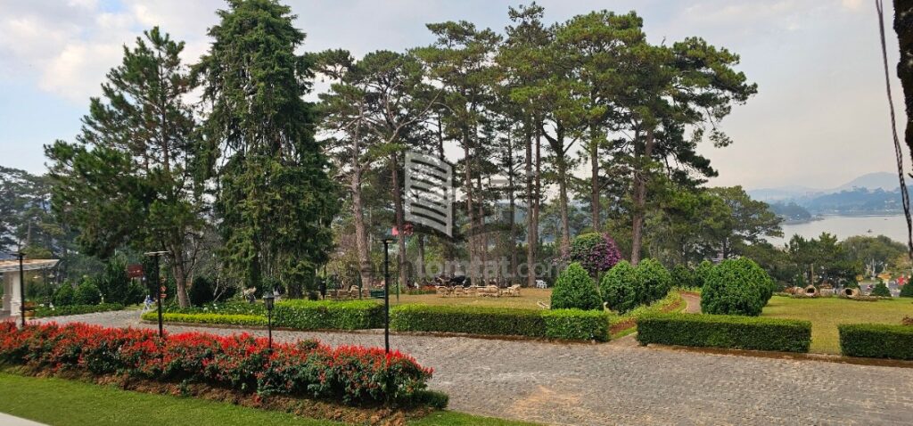 Không gian xung quanh khách sạn Dalat Palace