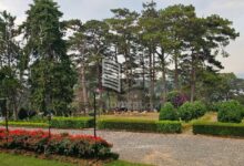 Không gian xung quanh khách sạn Dalat Palace