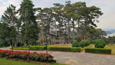 Không gian xung quanh khách sạn Dalat Palace