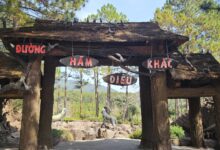 Gọi là đường hầm nhưng mình chưa thấy cái đường hầm nào cả???