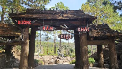 Gọi là đường hầm nhưng mình chưa thấy cái đường hầm nào cả???