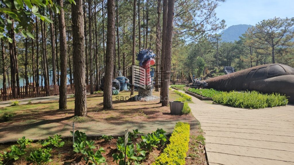 ... Và cả tàu cao tốc