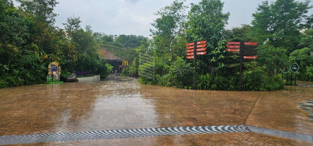 Singapore Zoo là khu rất rộng trong quần thể Mandai Wildlife