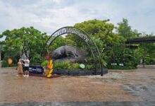Singapore zoo không phải là địa điểm nên tới nếu du lại tại Sing