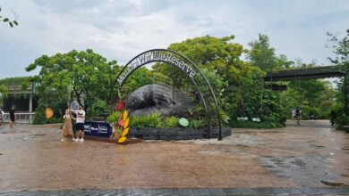 Singapore zoo không phải là địa điểm nên tới nếu du lại tại Sing