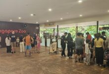 Kinh nghiệm du lịch 5 ngày 4 đêm cùng trẻ nhỏ tại Singpore
