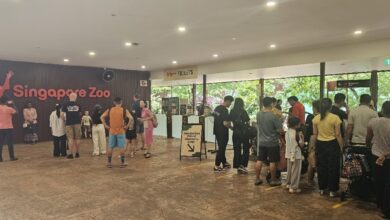 Kinh nghiệm du lịch 5 ngày 4 đêm cùng trẻ nhỏ tại Singpore