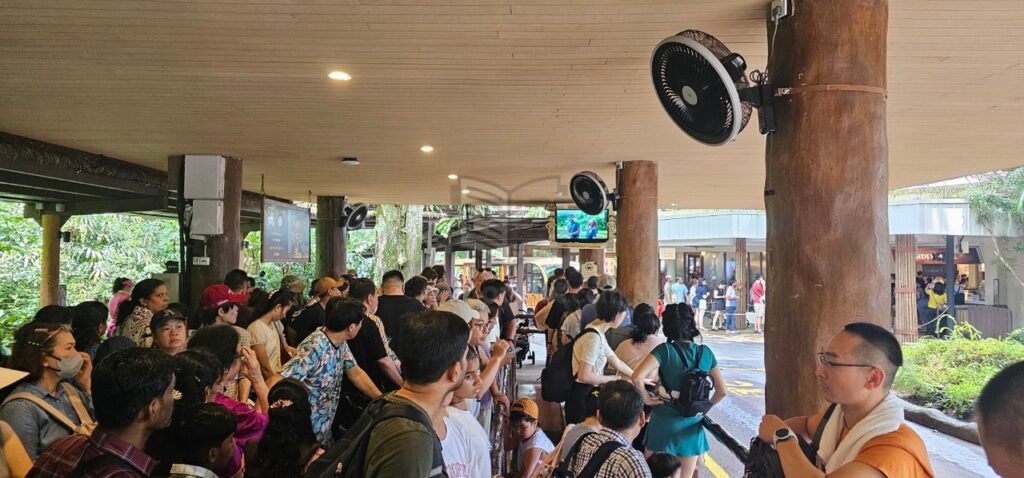 Xếp hàng dài đợi xe điện Tram